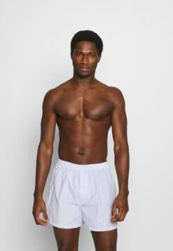 Pier One 5 Pack - Boxershorts - Light Blue/White 12 Pier One 5 Pack - Boxershorts - Light Blue/White -Pier One 139342f1516744e4937742c5f01eeccb