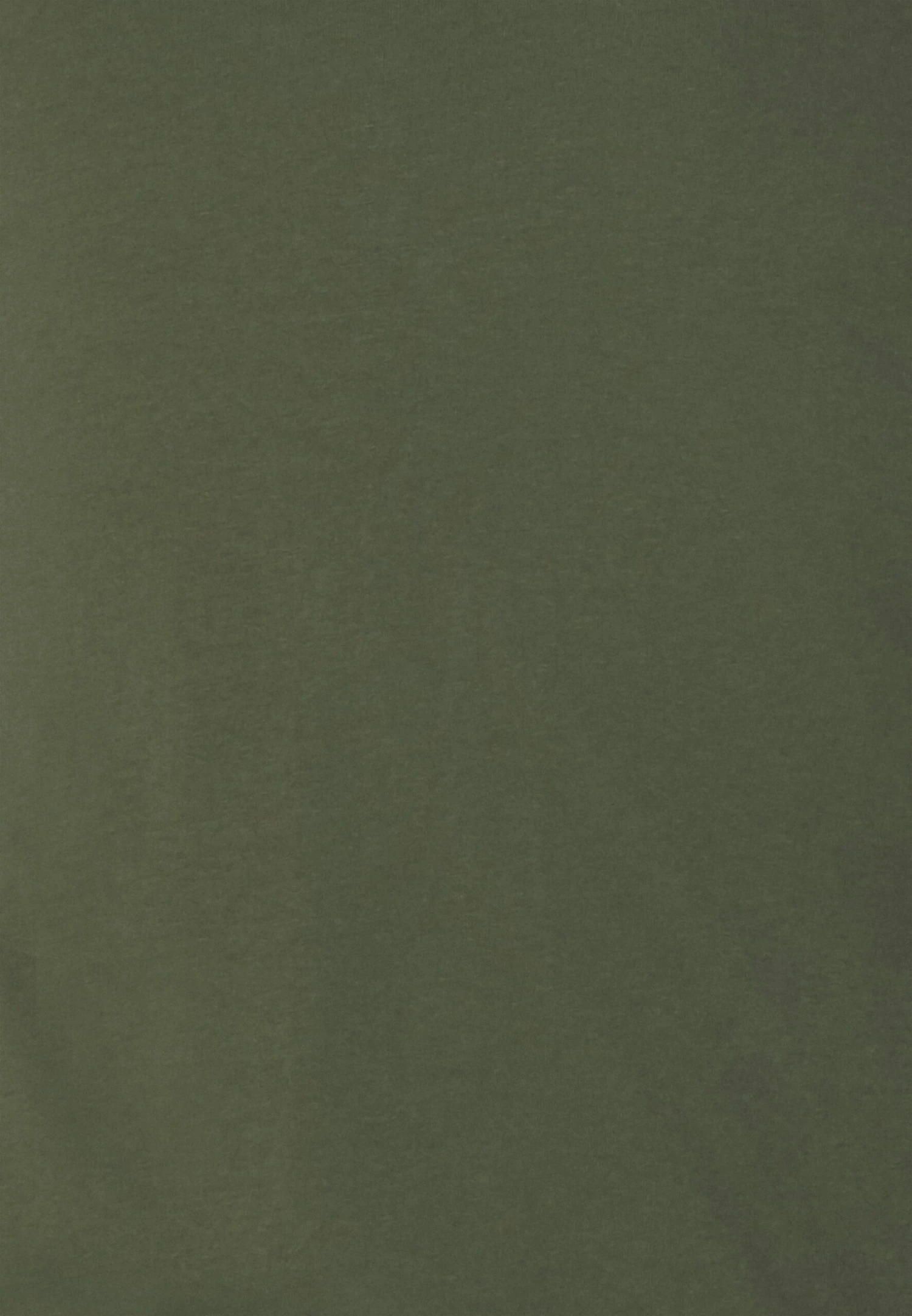 Pier One 2 Pack - Topper Langermet - Off-White/Dark Green 8 Pier One 2 Pack - Topper Langermet - Off-White/Dark Green - Bilde 6