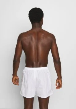 Pier One 5 Pack - Boxershorts - Light Blue/White 10 Pier One 5 Pack - Boxershorts - Light Blue/White -Pier One 687ef1808b144438a634b5f088762ab1