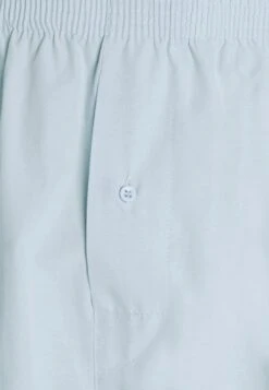 Pier One 5 Pack - Boxershorts - Light Blue/White 15 Pier One 5 Pack - Boxershorts - Light Blue/White -Pier One 8d526a81d413439291c57bcecfa7d443