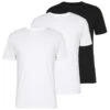 Pier One 3 Pack - T-Shirts -Black/ White 1 Pier One 3 Pack - T-Shirts -Black/ White -Pier One b69b0ec69daa4c8da2ee7d52186771e5